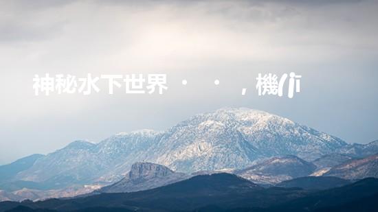 神秘水下世界，機(jī)器人探秘的奇幻之旅！